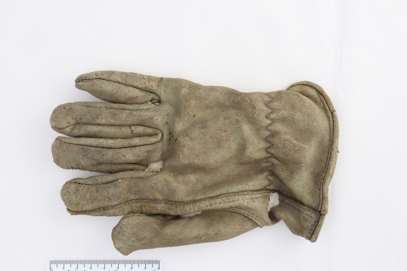 GLOVE
