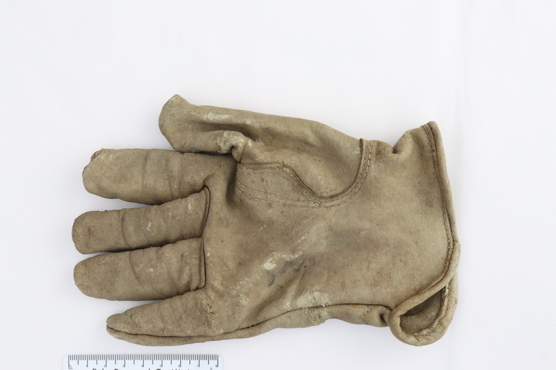 GLOVE