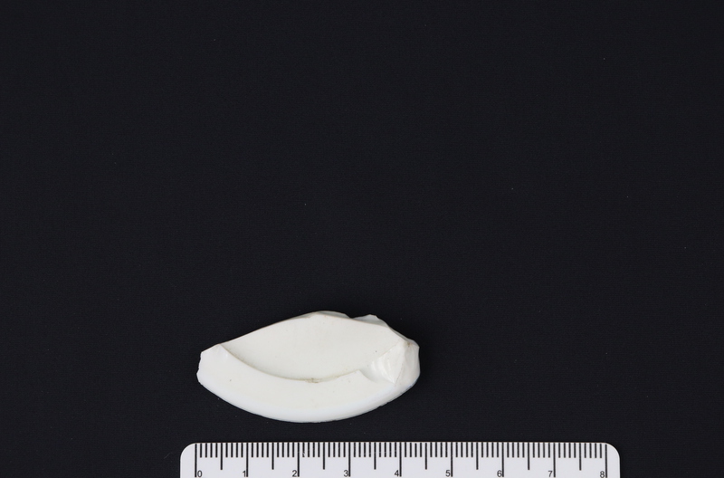 CAP/LID