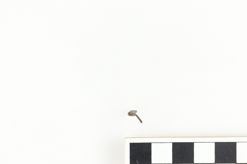 GARTER