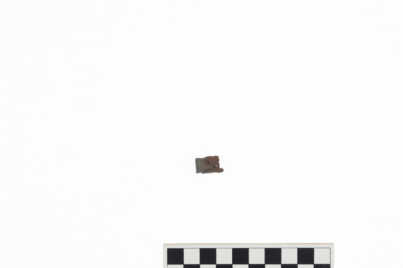 FERRULE