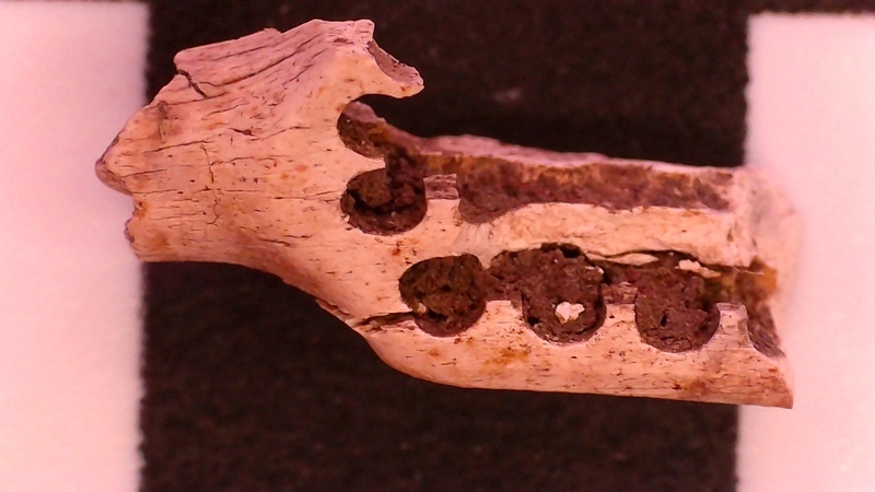 BONE TOOTHBRUSH