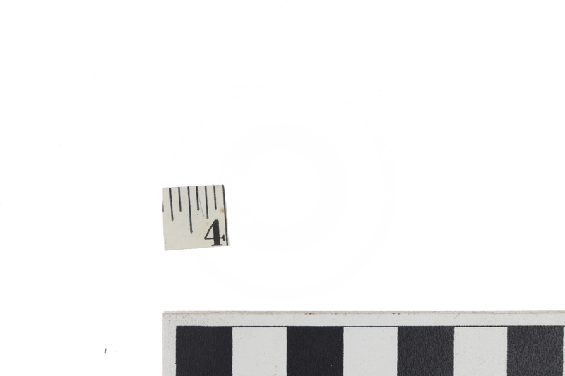 RULER