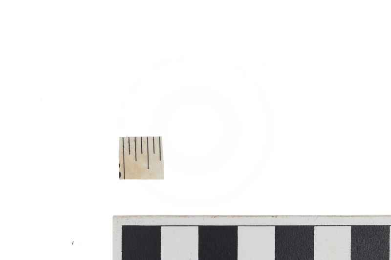RULER