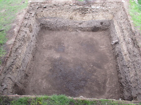 Field photo of Unit 21 with animal bone visible