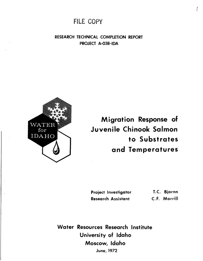 I assessed downstream migration of age 0+ chinook salmon from stream channels with rock and rubble (good) or gravel or shale (poor) substrates and constant or declining water temperatures during the fall months of 1970 and 1971. As water temperatures declined juvenile chinook left stream channels with gravel or shale substrates or moved into available hiding spaces in stream channels with rock and rubble substrate . Fish initially emigrated as temperatures declined below 10 C. I believe the number of emigrants reflects the holding capacity of the substrate and the density of the fish population. The migration response varied with size and race of fish. I attribute most of the response difference between races to differences in fish size. I contend that juvenile spring chinook find rock and rubble substrate an important component of their winter habitat.