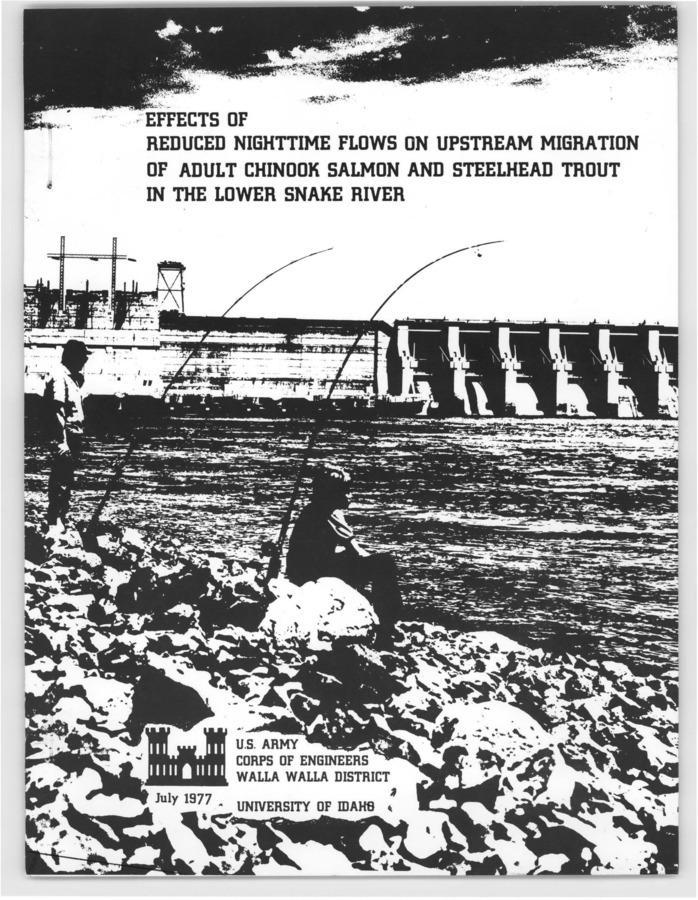 Storage of water at night and discharge through turbines at lower Snake River dams during the day would best meet demands for power production. However, fisheries managers were concerned that such flow regulations would interfere with upstream migration of anadromous salmonids . During 1975 and 1976, we assessed the effects of reduced nighttime flows on the upstream migration of adult chinook salmon and steelhead trout. During the summer and fall, reducing discharge from the dams to zero at night (2300-0700 hours) had no observable effect on migration of adult fish.