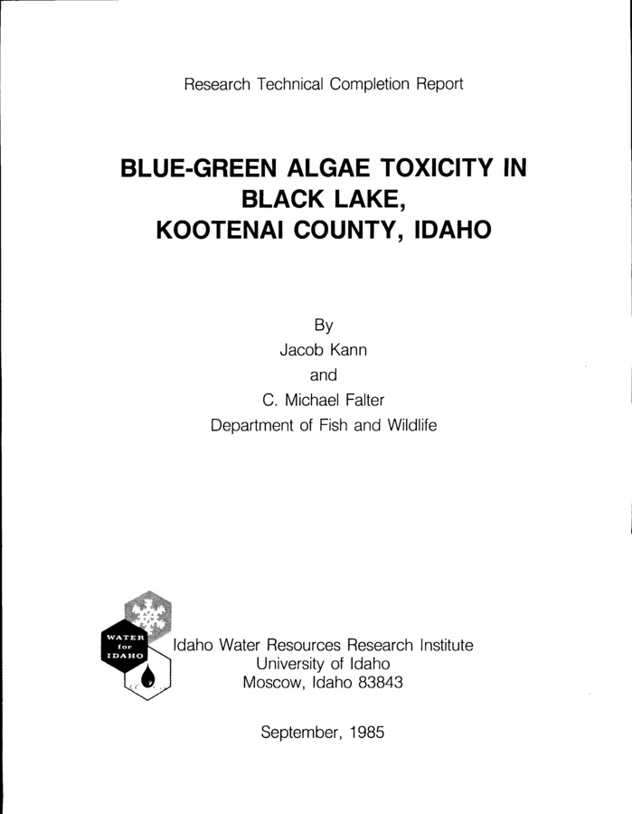 Increasing occurrences of explosive growths or blooms of blue-green alqae in lakes throughout the western United States have been linked to recreational use, sewage inputs, and non-point runoff associated with agriculture and grazing. In certain instances these blooms produce a toxin which can be lethal to fish, aquatic invertebrates, mammals and humans. Black Lake in northern Idaho has experienced massive late summer and fall growths of a toxic algae, Nostoc commune. At times, demonstrated fatal toxicity to cattle and small mammals has resulted in three of the last four years. Since little is known of the exact environmental conditions required to cause toxicity, environmental and phytoplankton parameters were monitored throughout the lake durinq summer and fall, 1984. Although conditions seemed favorable, and other blooms were intermittent through the summer-fall 1984, Nostoc did not develop to bloom proportions and toxicity did not occur. Algal assay results showed that algal growth potential ranged in the very productive range of -1 9.60 to 12.16 mg dry weight 1 /14 days for the late summer-early fall period. The limiting nutrient switched from phosphorus to nitrogen during the fall months, also indicating the potential for a Nostoc bloom. All indicators showed that Black Lake was highly productive in 1984 despite the absence of a toxic Nostoc bloom. Water transparency ranqed from 0.8 to 3.4 m, averaging 1.2 m from June to October. pH values went as high as 8.2, with the total absence of CO2 in some of the littoral areas. Dissolved oxygen values were at super saturated levels throughout most of the sampling reqime. Diatoms (Fragilaria sp., Melosira sp., and Asterionella sp.) dominated the phytoplankton composition with Nostoc only showing up in early August. Chlorophyll 11 a11 values correlated with phytoplankton trends, with highs of 15 to 31 mgl-1, and lows of 0 to 5 mgl-1. The fact that Black Lake is clearly eutrophic, and that the potential for a blue-green bloom was present but did not materialize, may possibly be explained by two factors ... climatoloqical trends and stratification pattern. The absence of a well developed hypolimion along with excessive cloudiness and lack of a protacted calm, bright, and warm fall may have accounted for the lack of a toxic bloom in Black Lake during 1984.