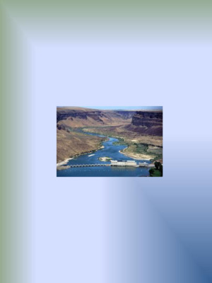 This agreement is made and entered into among the State of Idaho, by and through the Governor ..., John V. Evans in his official capacity as Governor of the State of Idaho; Jim Jones in his official capacity as Attorney General; and Idaho Power Company ...  A petition for a declaratory order was subsequently filed with the Federal Energy Regulatory Commission by the State of Idaho and the Idaho Power Company on November 27, 1984, requesting that it approve this agreement. Concerns were raised by various agencies and groups regarding its effect on fish and wildlife in the area of the Deer Flat National Wildlife Refuge, and whether it allowed sufficient water flow for young anadromous fish to reach the Pacific Ocean.