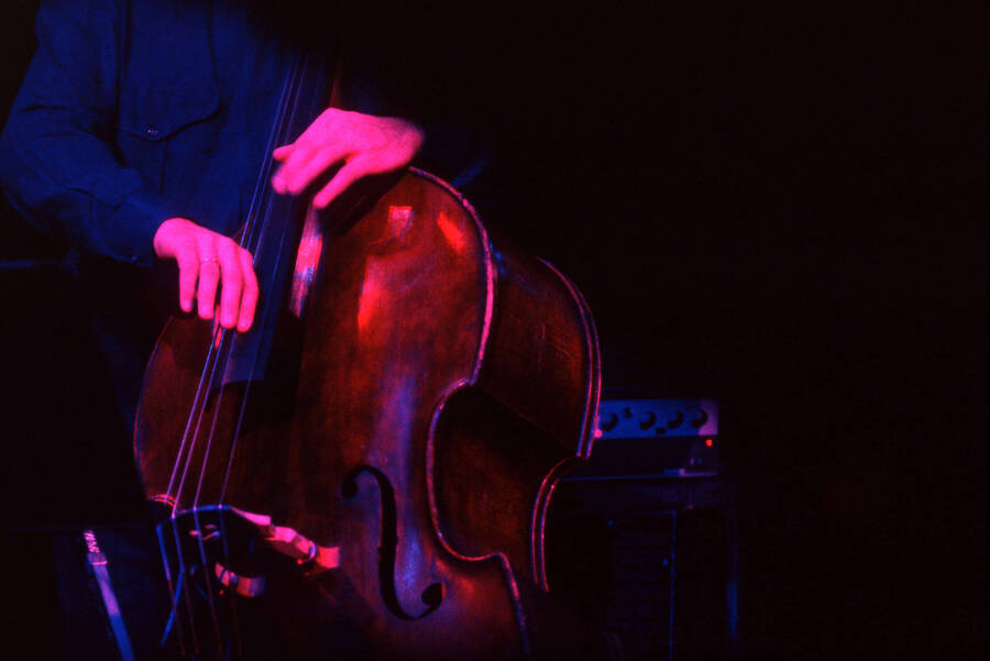 35 mm color slide. Close up on David Finck's hands playing bass at the Pepsi International World Jazz Night at the 1992 Lionel Hampton-Chevron Jazz Festival.
