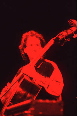 35mm color slide. Brian Bromberg plays bass at the Pepsi International World Jazz Night at the 1992 Lionel Hampton-Chevron Jazz Festival.