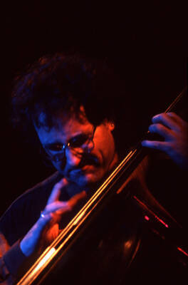 35mm color slide. Brian Bromberg plays bass at the Pepsi International World Jazz Night at the 1992 Lionel Hampton-Chevron Jazz Festival.