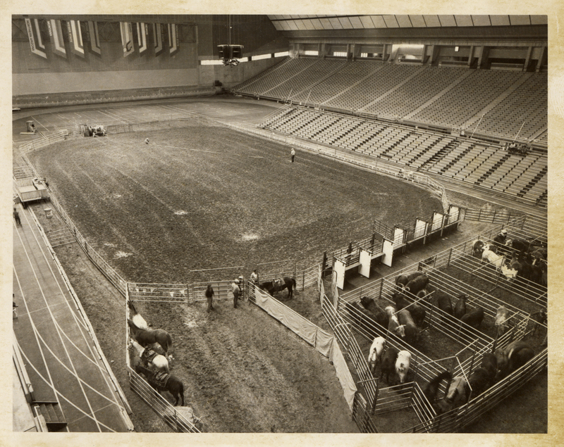 Black and white photograph of an enclosed stadium with empty stands and a rodeo setup on the field. In the foreground are pens holding horses and cattle.