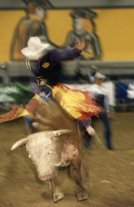 Blurred color photograph of a person riding a bucking bull. In the background is a wall with black, white, and yellow artwork depicting people in a graduation ceremony.