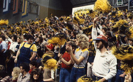 Color photograph of spectators standing in stands and waving black and yellow pom-poms.