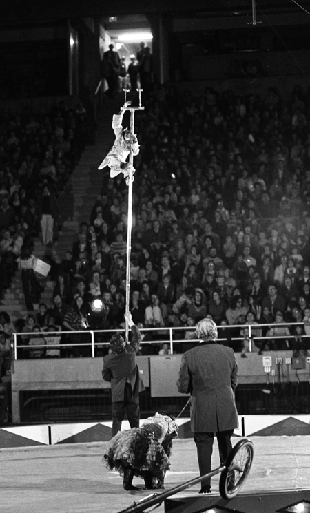 Black and white photograph of a person climbing a tall pole held by another person. In the foreground is a person leading some small animal on a leash. In the background are people sitting in stands.