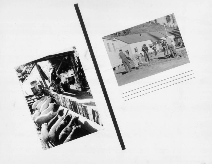 A grouping of photographs portraying what some aspects of life around the Kooskia Internment Camp looked like, from raising pigs to building new structures and prepping the camp for construction projects. Photo taken from 12-3/4 x 15-1/4 Photograph album of the Kooskia Japanese Internment Camp.