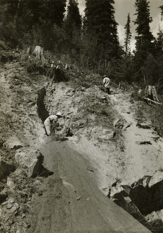 A black and white photograph of a man standing in a trench running perpendicular to the hillside. Another man stands farther up the hill among some tree stumps.