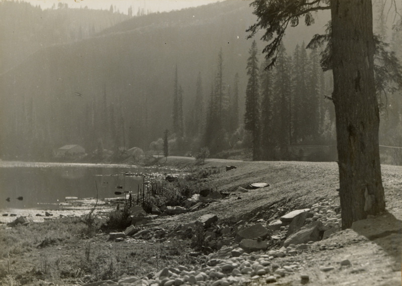 A black and white scenic photograph of the Lochsa River. A pine tree is in the foreground on the right.