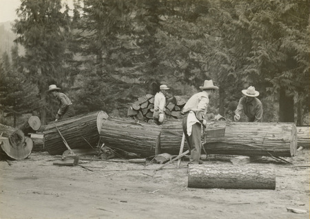 A black and white photo of five men chopping a large log.