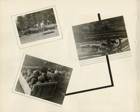 Image of a page from the scrapbook. The page is lightly tinted due to age and includes three black and white photographs.