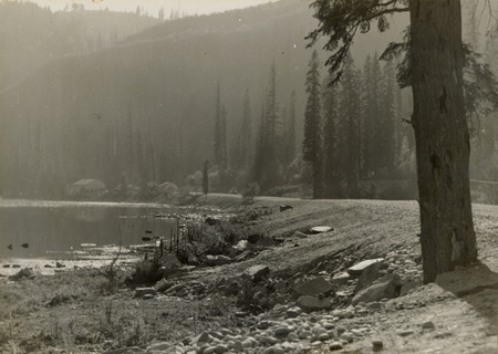 A black and white scenic photograph of the Lochsa River. A pine tree is in the foreground on the right.
