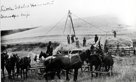 Horsepower threshing on the Mix Farm.