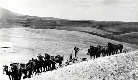Horsepower plow team working the fields on the Naylor Farm.