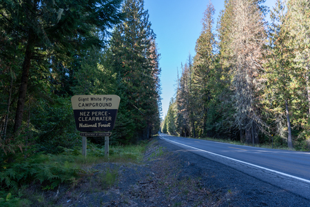 White Pine Scenic Byway and Giant White Pine Campground, Nez Perce-Clearwater NF [01]