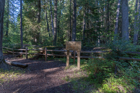 White Pine Scenic Byway and Giant White Pine Campground, Nez Perce-Clearwater NF [02]