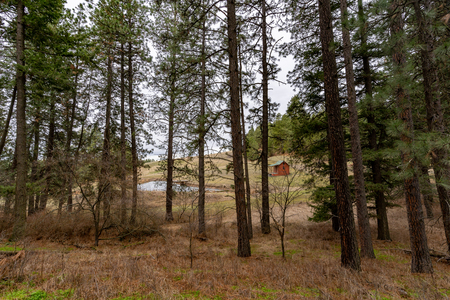 Idler's Rest Nature Preserve [02]