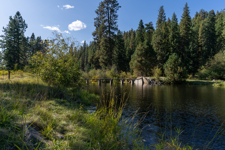 Laird Park/ Camp Grizzly [01]