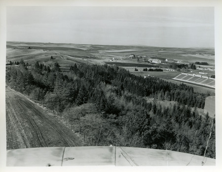 Panoramic view of Shattuck Arboretum, Neale Stadium, and the Field House (1948-1974) at the University of Idaho.