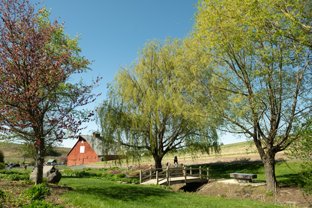 Shattuck Arboretum and Botanical Garden [01]