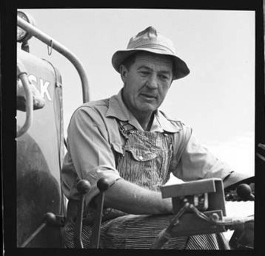Wilbur Westberg harvesting on 'The Riggs Place'.