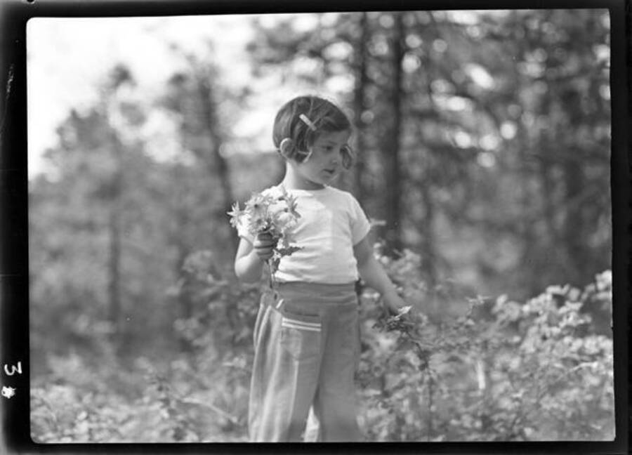 Picture of Kay Laughlin collecting wild flowers.