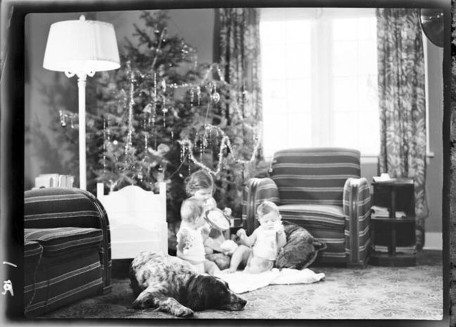 Picture of John, Helen and Kay Laughlin with a dog next to a christmas tree