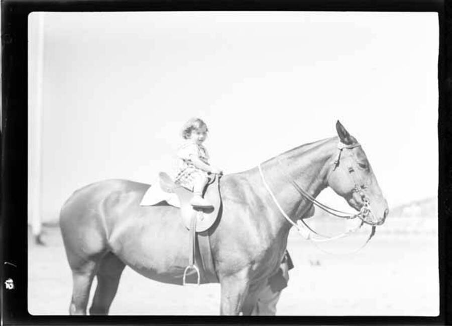 Picture of Kay Laughlin on Harry Brenn's horse