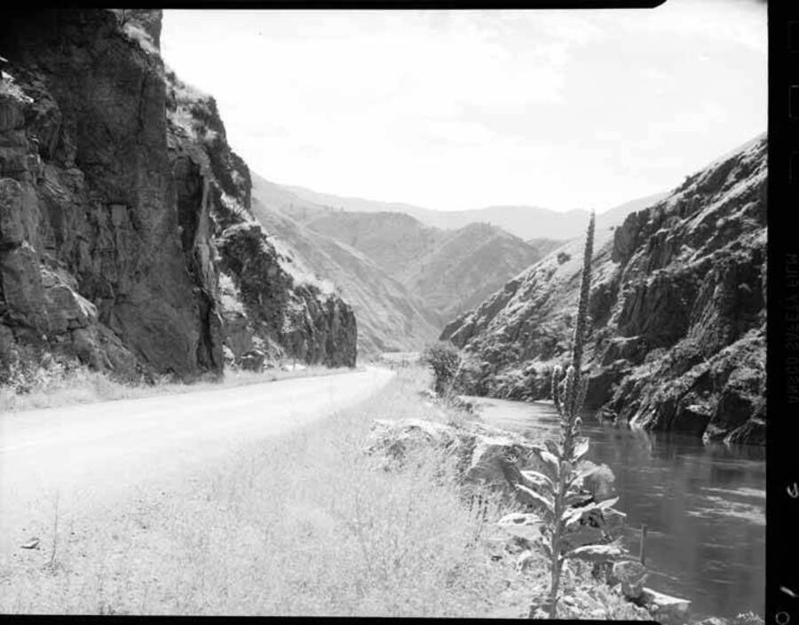 Image shows road and creek going through the Seven Devils range.