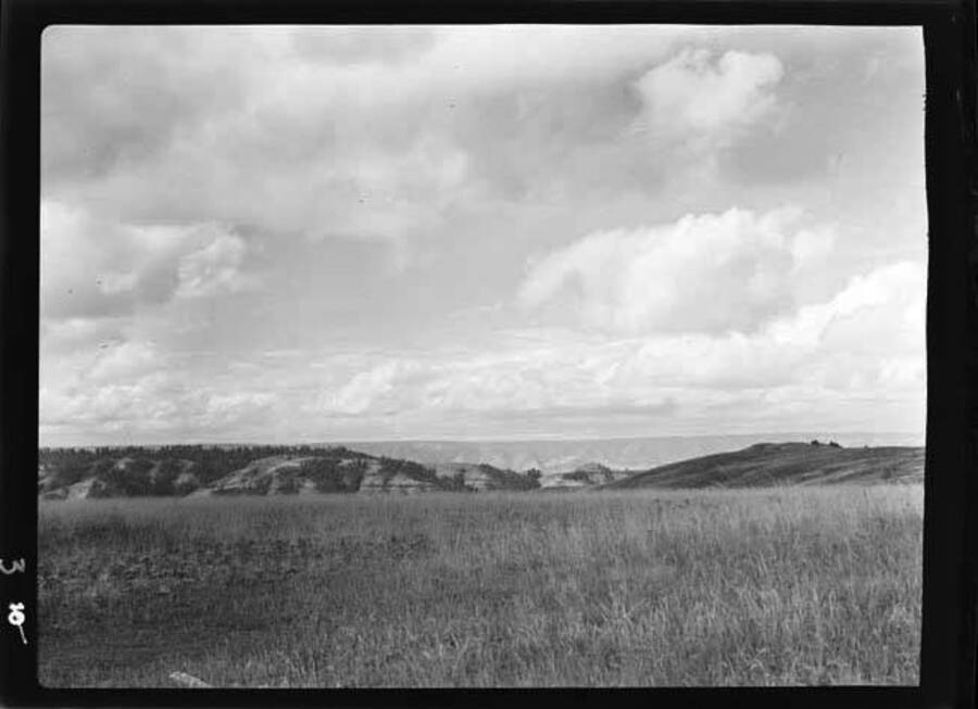 Image shows a grassy plain at the top of a canyon in the Joseph Plains region of Idaho.