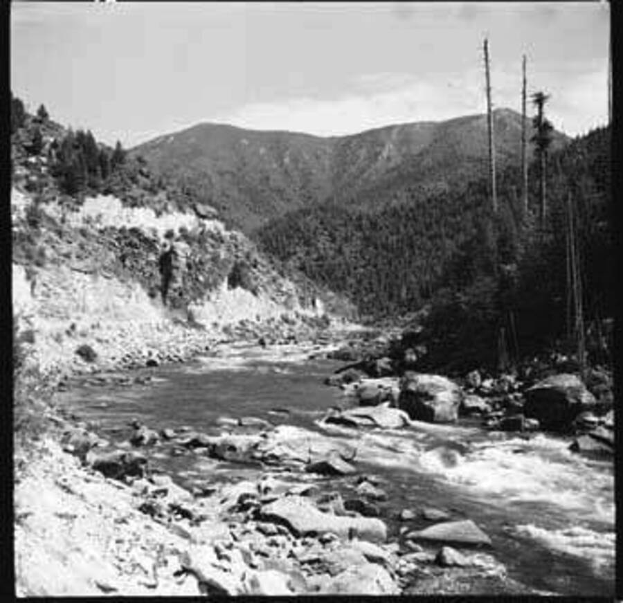 Image of unidentified river.
