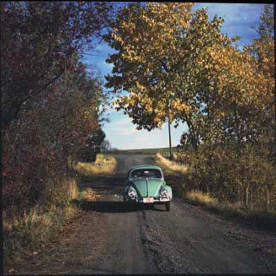 Image of car on dirt road.