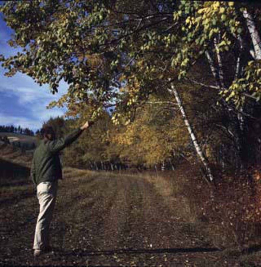 Image of man on dirt road.