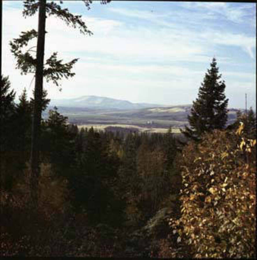 Image of unidentified mountains.