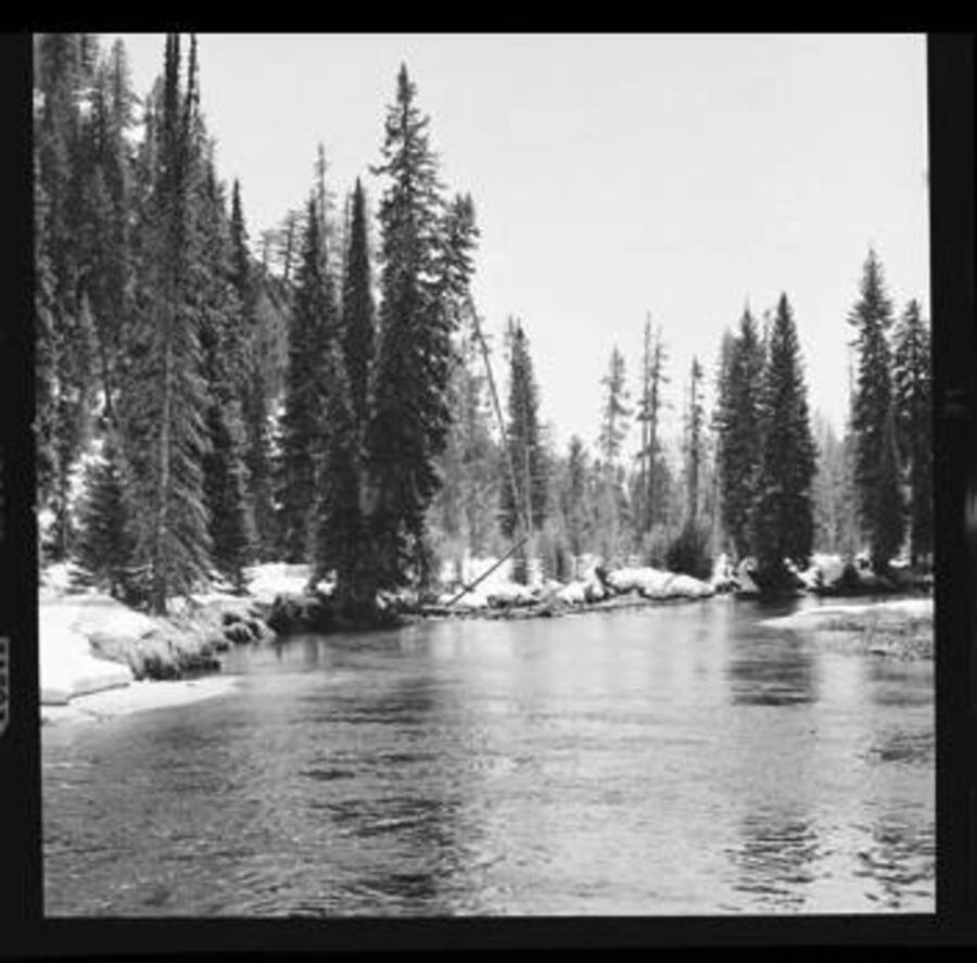 Scenic view of Little Salmon River surrounded by snow and trees.