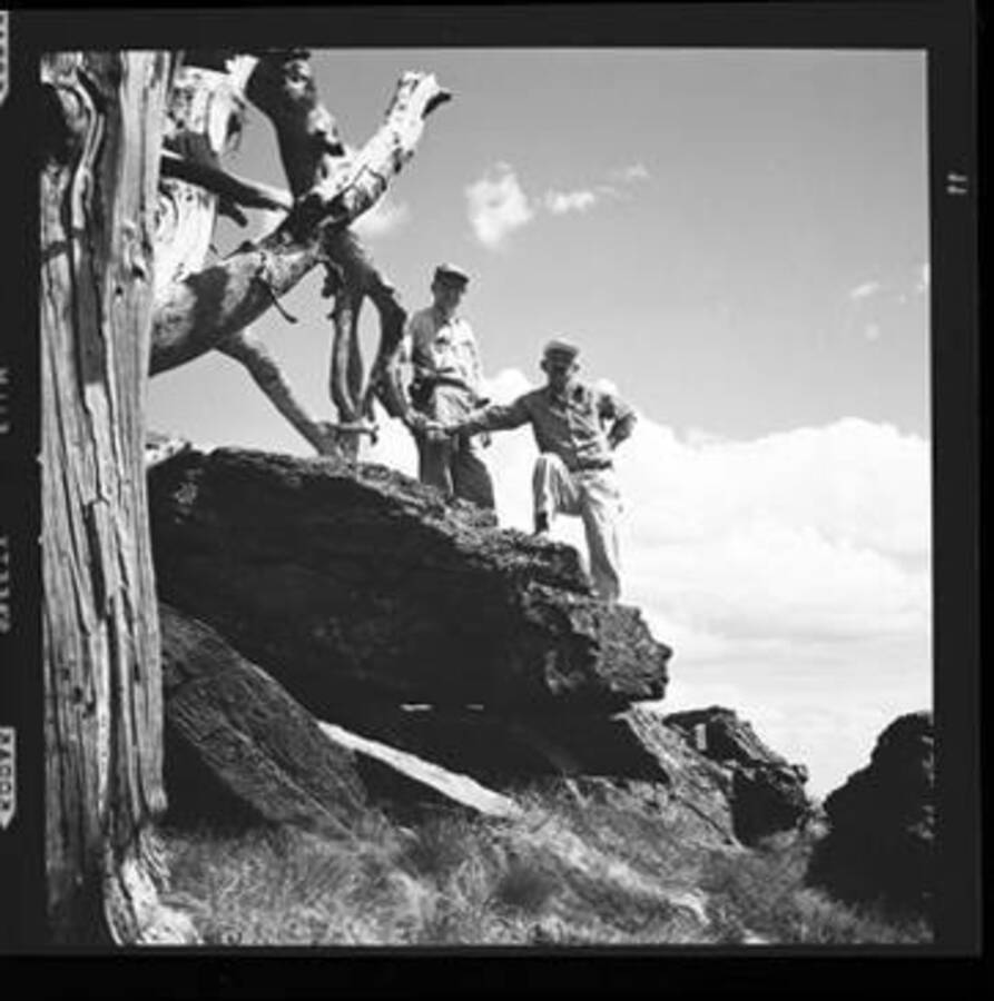 W.H. Baker and George Woodbury on a rock near a dead tree on Freezeout Saddle in the Clearwater Mountains, Idaho.