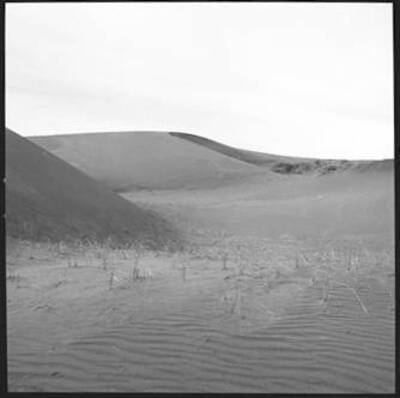 View of sand dunes west and north of St. Anthony, Idaho