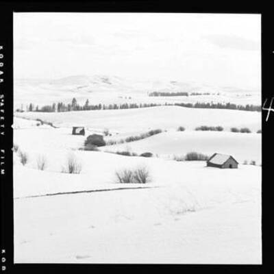 View of Moscow from Paradise Ridge, looking southwest from ridge between Blaine and U.S. Hwy 98