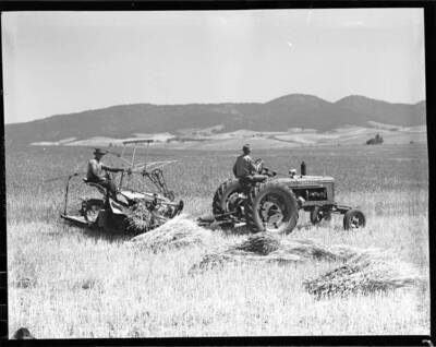 Harvest at Floyd Trail's [2]