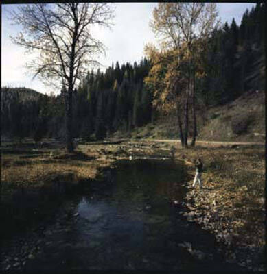 Image of unidentified creek.